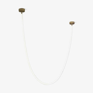 Flexible Curve Pendant Lamp Arkstarhome
