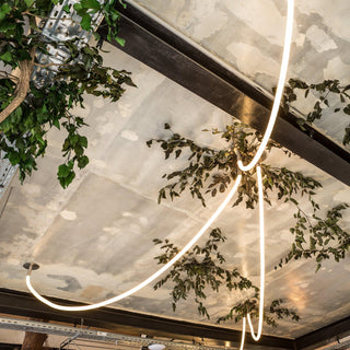 Flexible Curve Pendant Lamp Arkstarhome