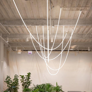Flexible Curve Pendant Lamp Arkstarhome