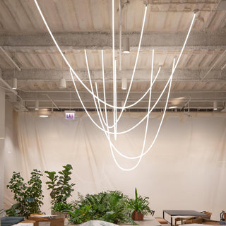 Flexible Curve Pendant Lamp Arkstarhome