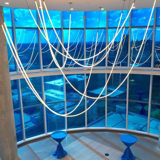 Flexible Curve Pendant Lamp Arkstarhome