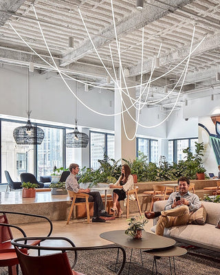 Flexible Curve Pendant Lamp Arkstarhome