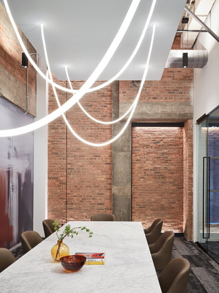 Flexible Curve Pendant Lamp Arkstarhome