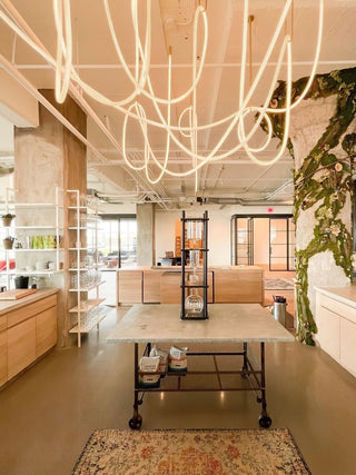 Flexible Curve Pendant Lamp Arkstarhome