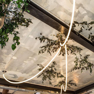 Flexible Curve Pendant Lamp Arkstarhome