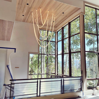 Flexible Curve Pendant Lamp Arkstarhome