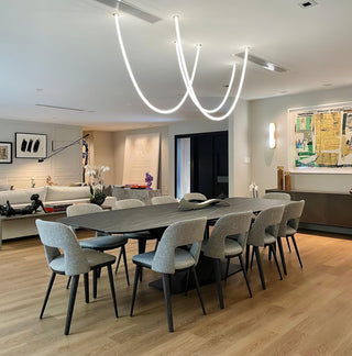 Flexible Curve Pendant Lamp Arkstarhome