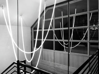 Flexible Curve Pendant Lamp Arkstarhome