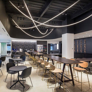Flexible Curve Pendant Lamp Arkstarhome