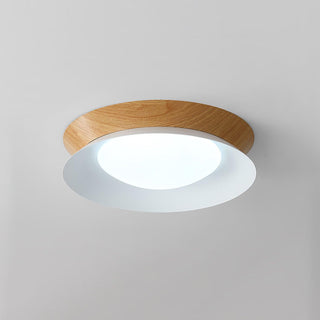 Double Half Round Ceiling Light Arkstarhome