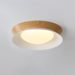 Double Half Round Ceiling Light Arkstarhome