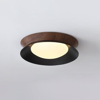 Double Half Round Ceiling Light Arkstarhome
